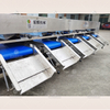 Automatic fruit sorting machine cherry tomato sorter potato grader blueberry grading machine 