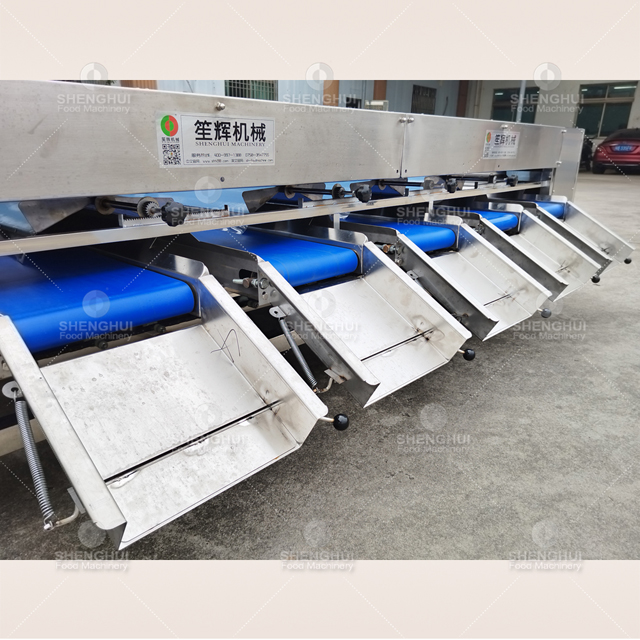 Automatic fruit sorting machine cherry tomato sorter potato grader blueberry grading machine 
