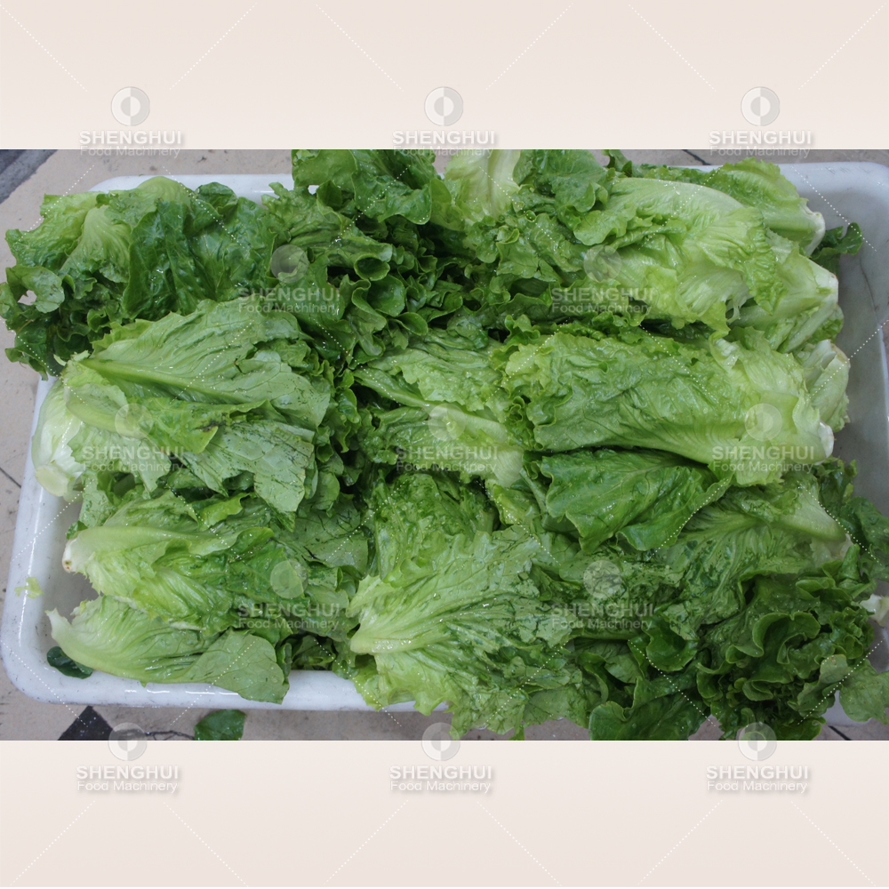 Commercial vegetable processing line machine vegetable washing machine fruit cleaning machine non-destructive salad washer