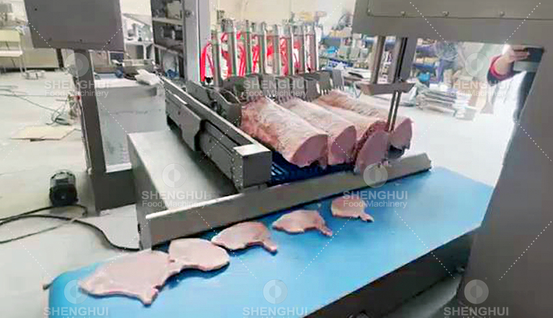meat slicing machine (6)