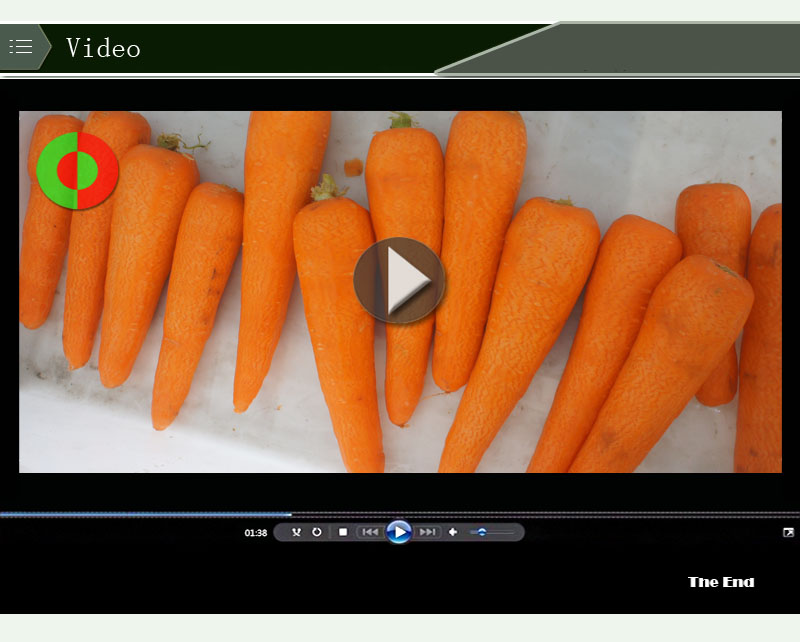 potato and carrot peeler-food machine