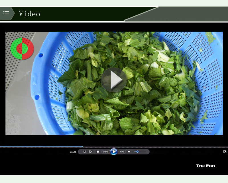 vegetable cleaning machine-food machine