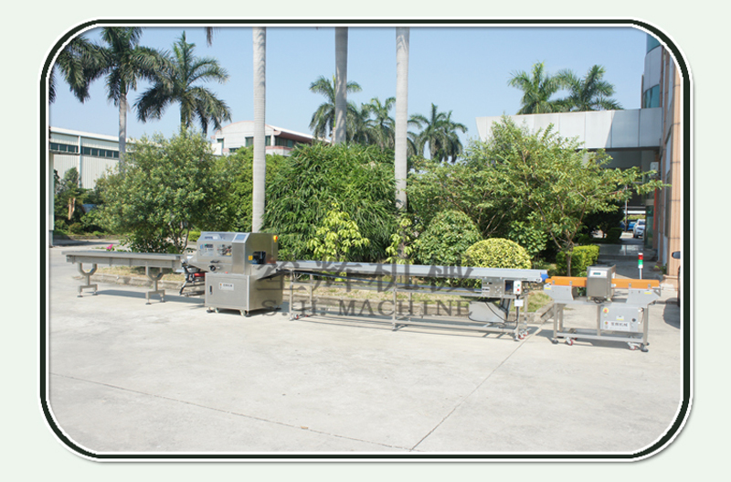 cabbage packing machine