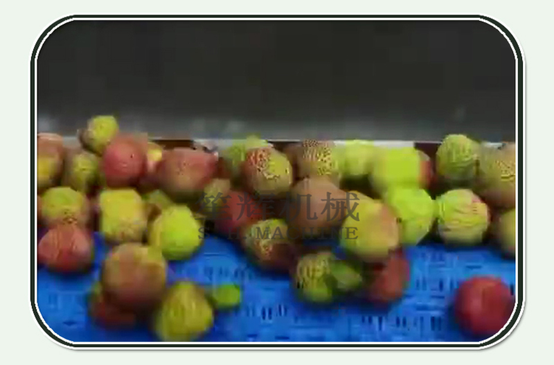 mango cleaning machine