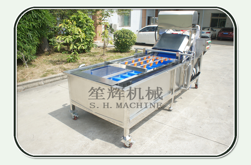 litchi cleaning machine