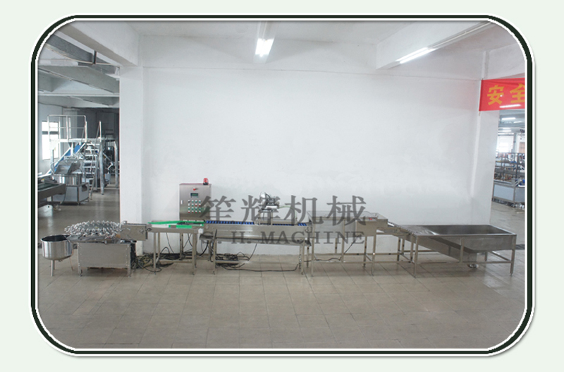 egg processing machine 2