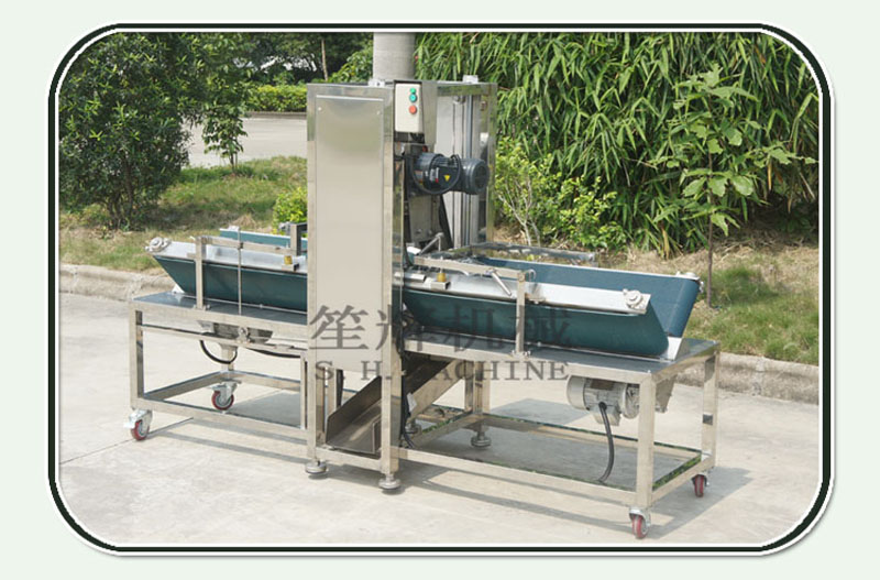 winter melon fruit skin removing machine 3
