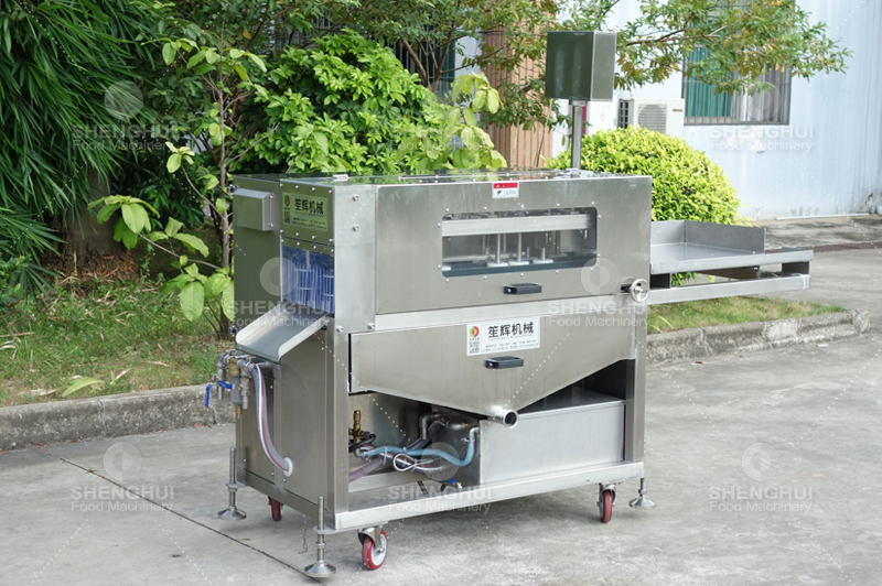 fish processing machinery