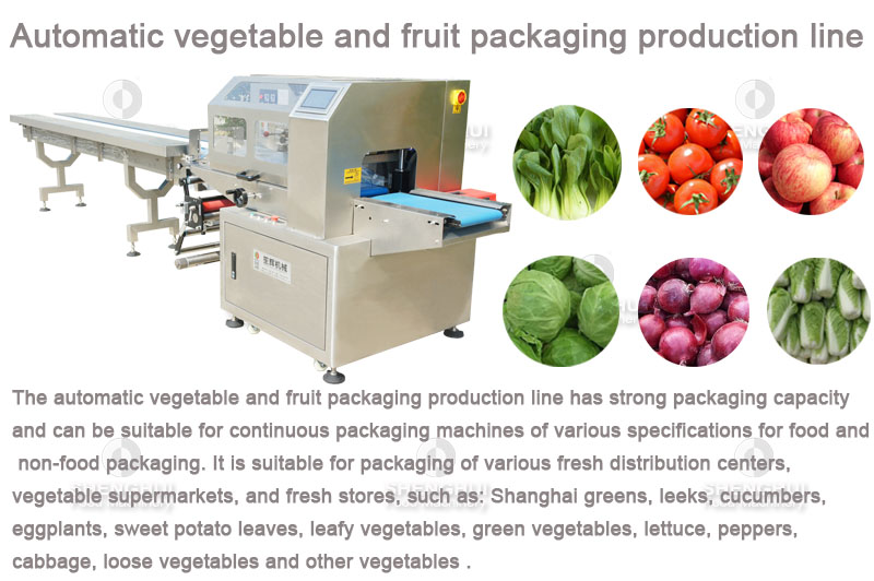 vegetable packing machine 1