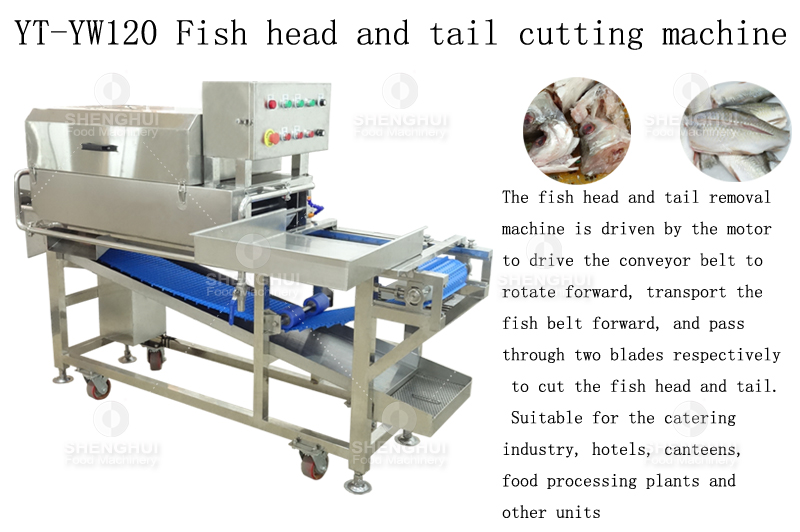fish head and tail removing machinery