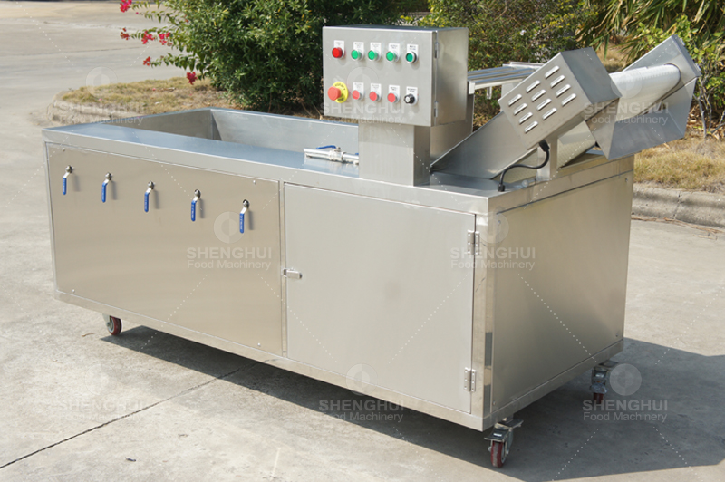 vegetable washing machine 3