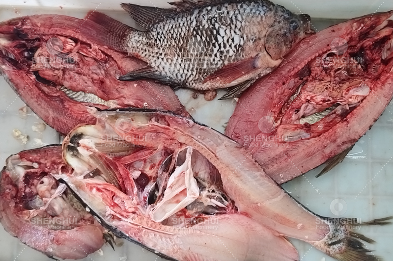 fish killing machine (9)