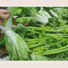 Commercial vegetable processing line machine vegetable washing machine fruit cleaning machine non-destructive salad washer