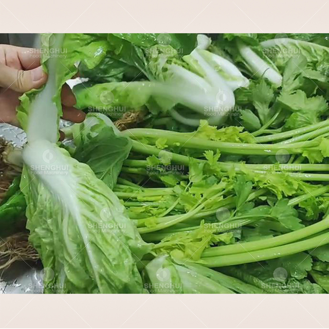 Commercial vegetable processing line machine vegetable washing machine fruit cleaning machine non-destructive salad washer