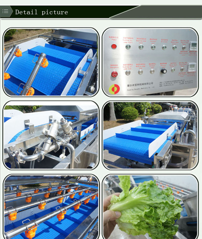 furit clenaing machine