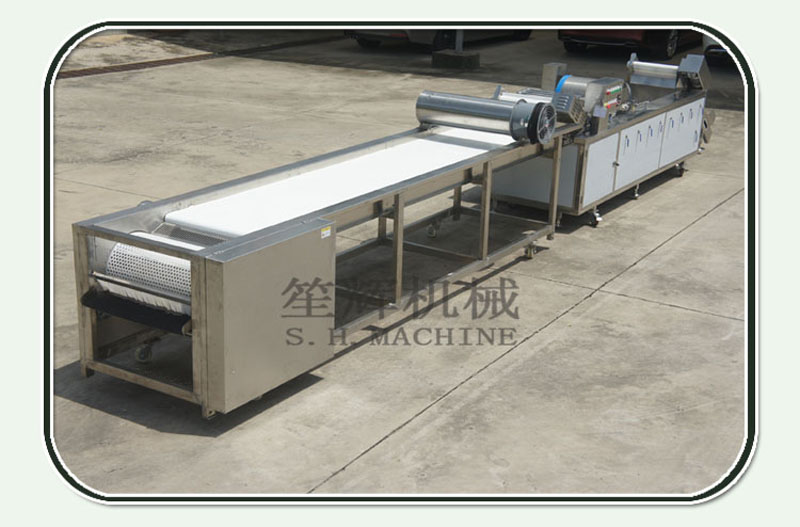 blueberry washing machine (2)