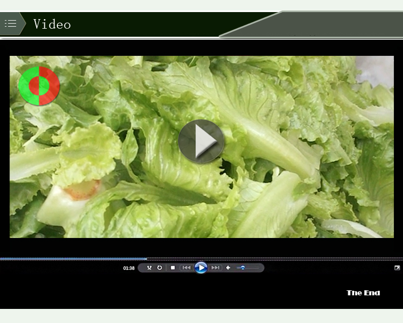 vegetble processing machine 1