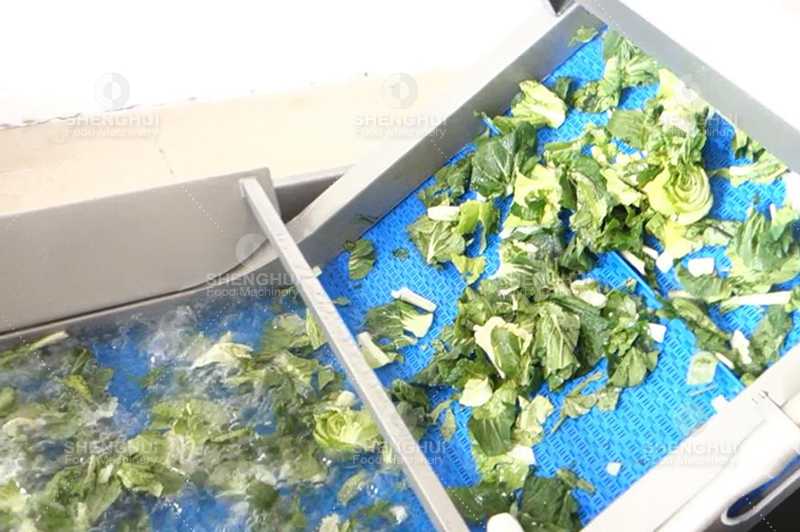 vegetable cleaning machine 1