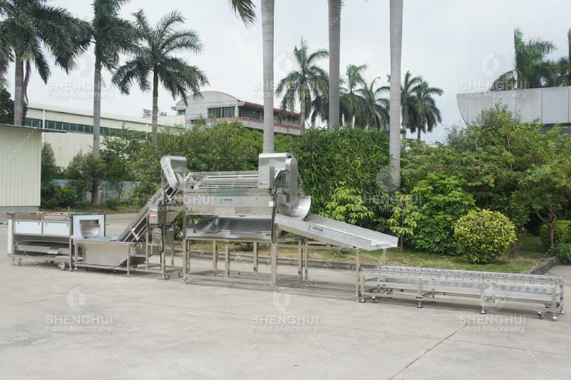 fish processing machinery 2