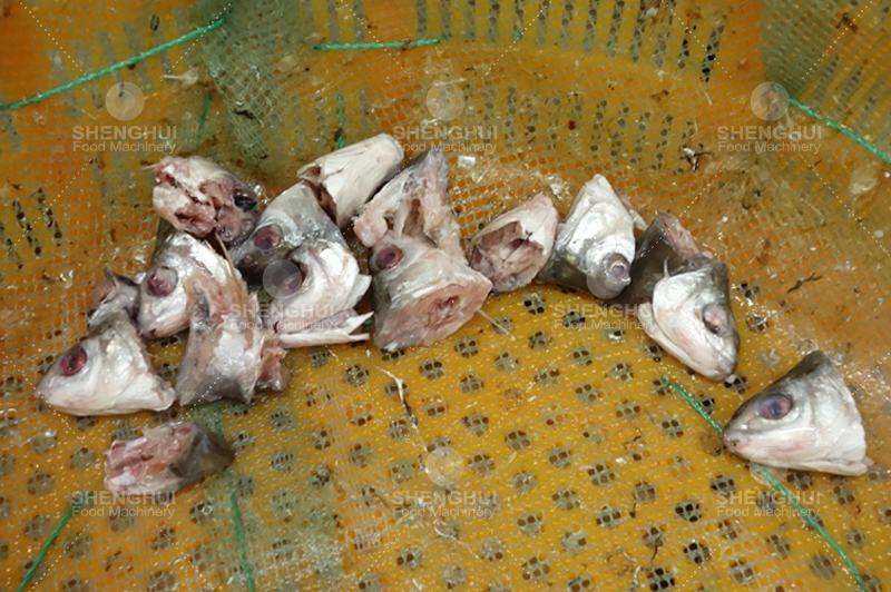 fish head removing machinery