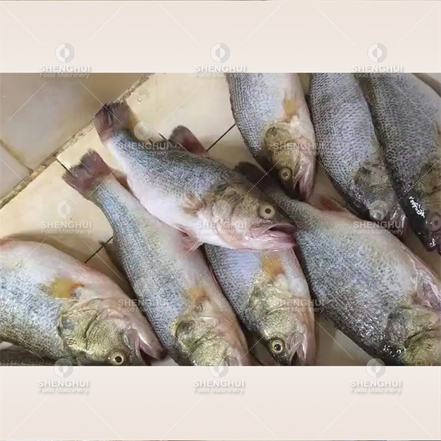 Automatic fish scale removing machine fish scaler seafood processing machine fish scale remover fish descaling machine