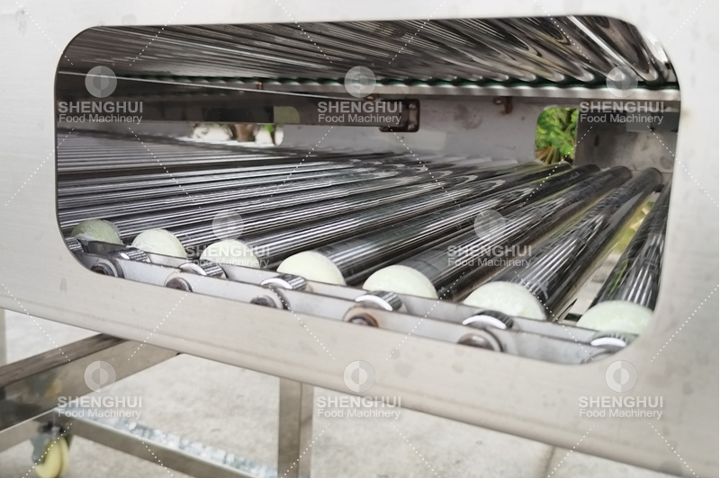 fruit sorting machine 4