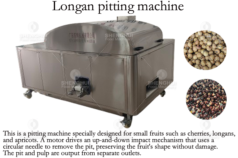 Longan seed removal machine 1 (2).jpg