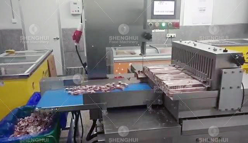 meat slicing machine (5)
