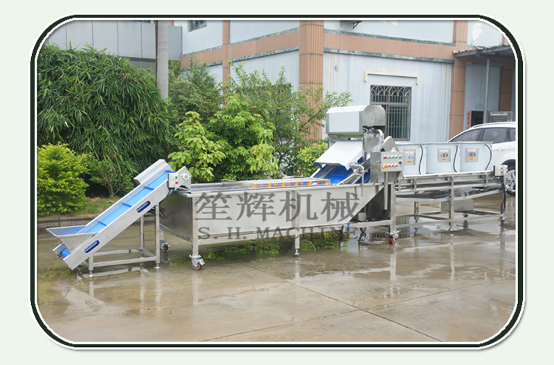vegetable processing line