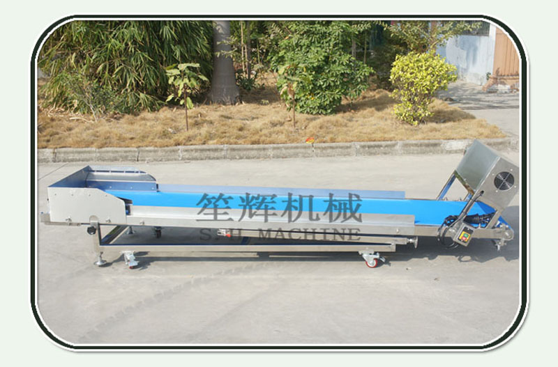 vegetable conveyor 2