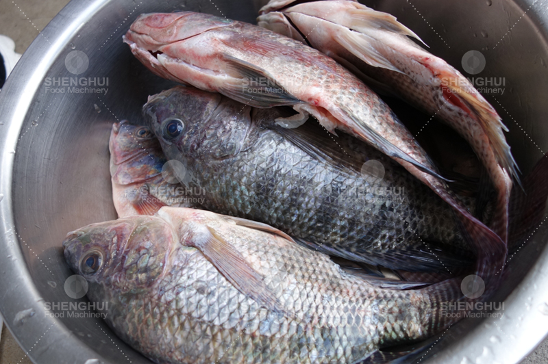 fish opening machine