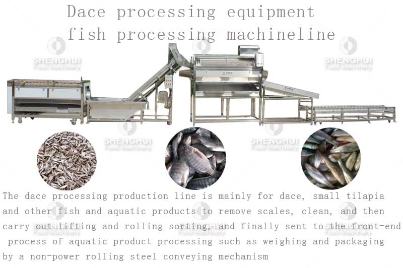 dace processing machine