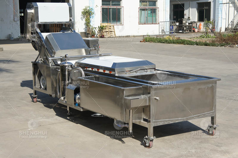 fruit cleaning machine 1