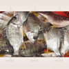 Automatic fish scale removing machine fish scaler seafood processing machine fish scale remover fish descaling machine