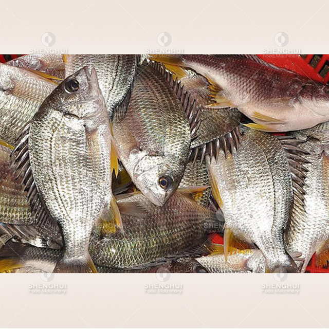 Automatic fish scale removing machine fish scaler seafood processing machine fish scale remover fish descaling machine