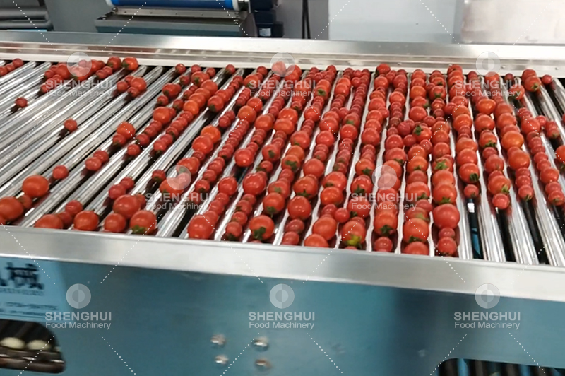 passion fruit sorter 3