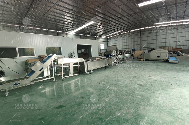 Longan processing production line.jpg