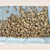 Automatic longan seed removal machine red date pitting machinery food machine cherry pitting machine