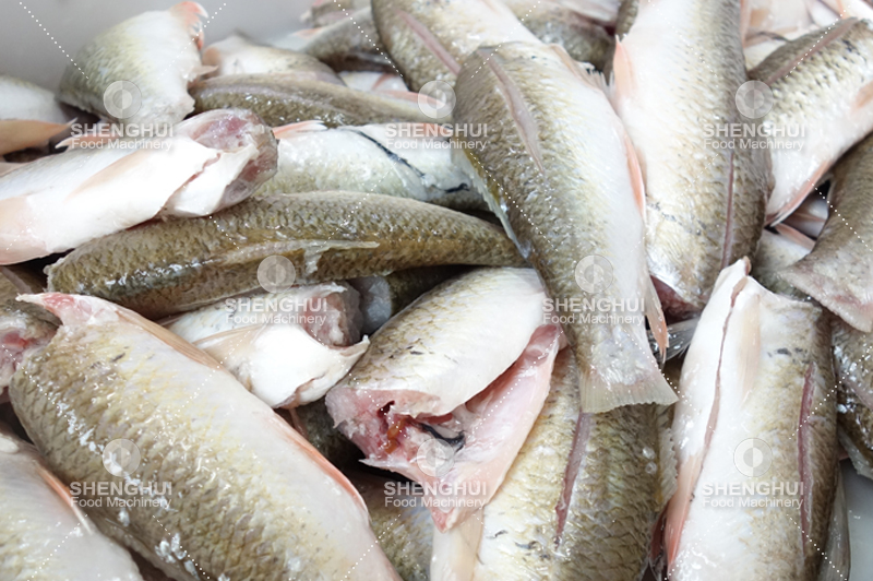 fish washing machine (3)