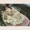 Automatic garlic chopping machine vegetable chopper chilli cutting machine pepper chopping machine