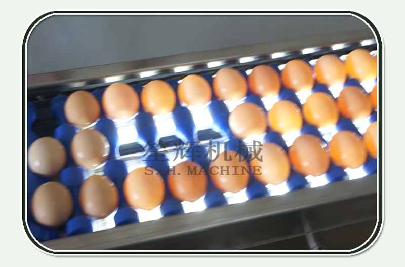 egg air drying machine
