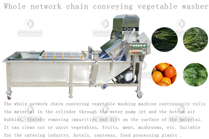vegetable washer 