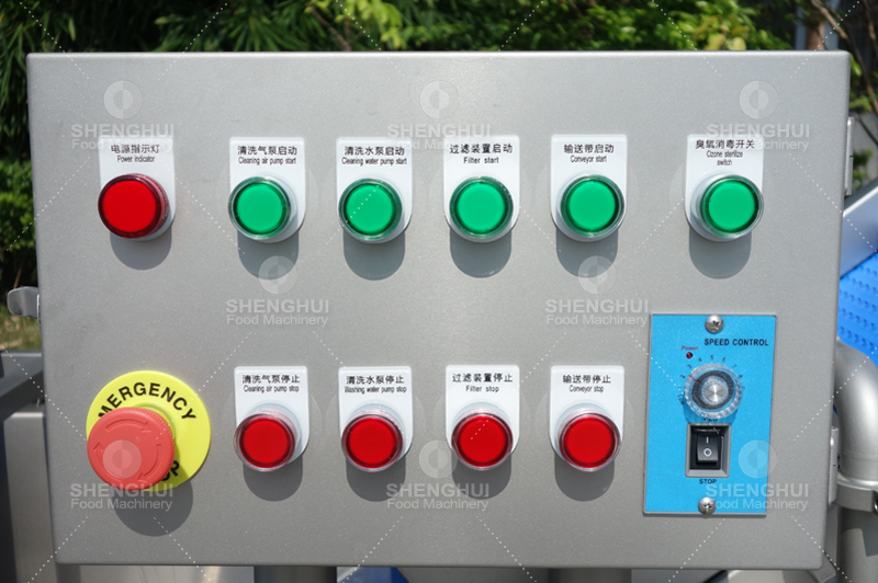 vegetable washing machine1