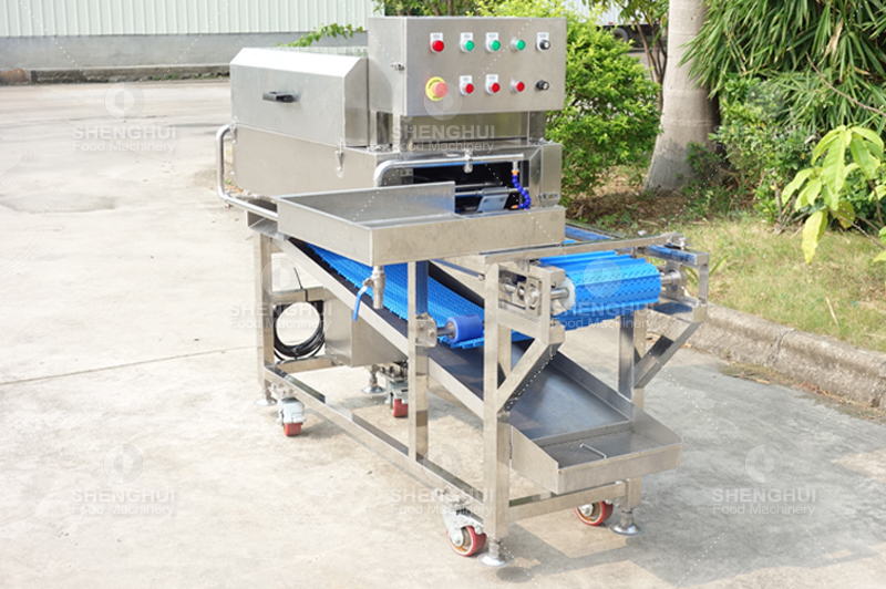 fish processing equipment 3