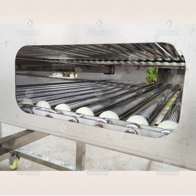 Automatic fruit sorting machine cherry tomato sorter potato grader blueberry grading machine 