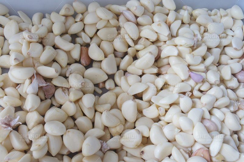 garlic skin peeling machine