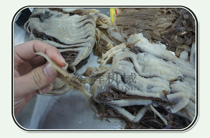 salmon slicer machine