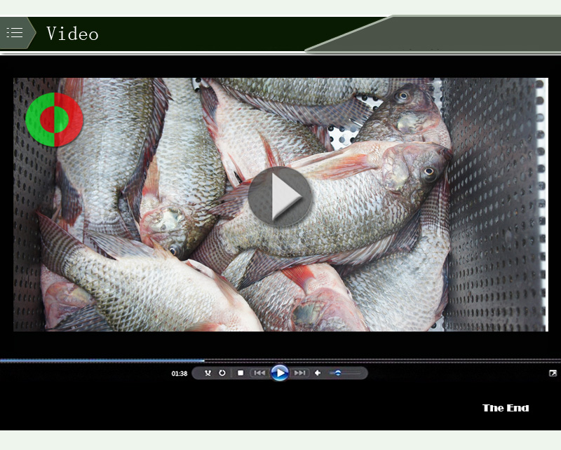 fish scale removing machine