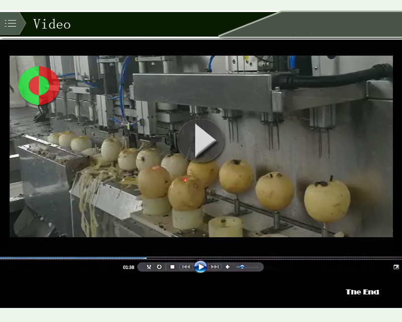 grapefruit peeling machine