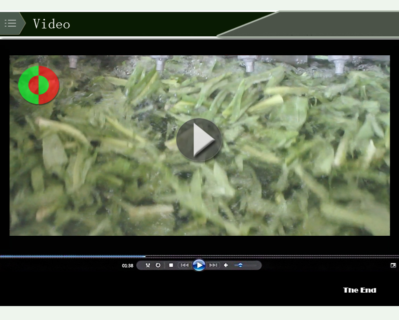 fruit cleaning machine